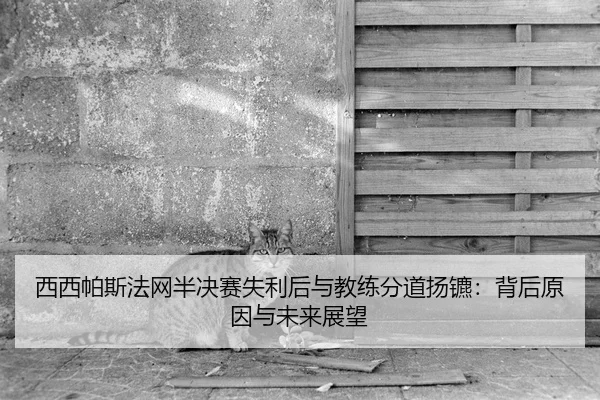 xi-xi-pa-si-fa-wang-ban-jue-sai-shi-li-hou-yu-jiao-lian-fen-dao-yang-biao-bei-hou-yuan-yin-yu-wei-lai-zhan-wang-2-964.jpg
